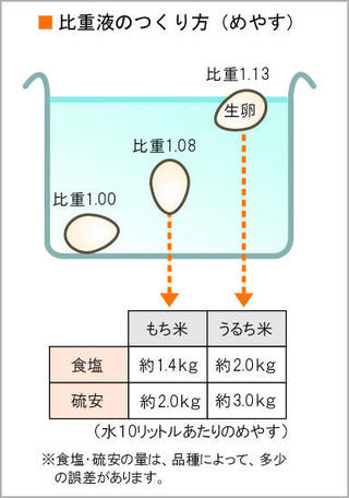 苗作りの実際 箱育苗について 稲編 農作業便利帖 みんなの農業広場 モバイル版