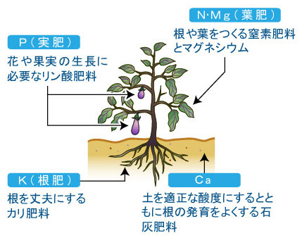 リン カリ 窒素 酸