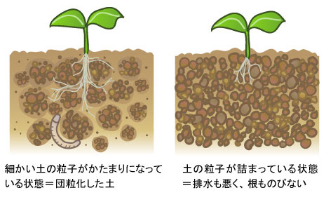 土づくり 家庭菜園編 農作業便利帖 みんなの農業広場 モバイル版