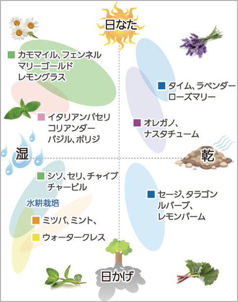 ハーブ栽培の基本 ハーブ類編 農作業便利帖 みんなの農業広場